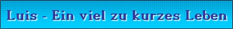 Webseite von Luis Kratzert