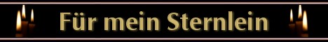 Webseite von Sternlein