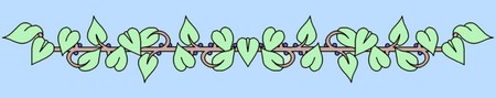 Blumenlinie