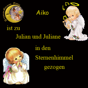 Urkunde von Juliane und Julians Webseite